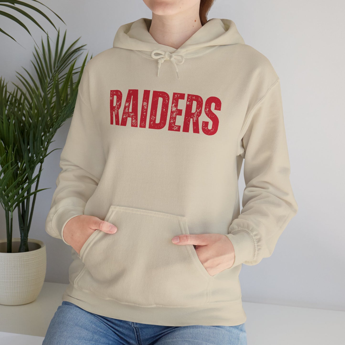 Raiders Hoodie